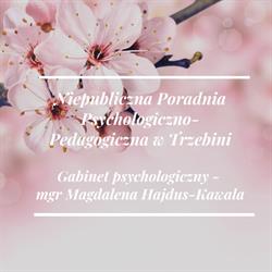 Niepubliczna Poradnia Psychologiczno - Pedagogiczna w Trzebini, Trzebinia godziny otwarcia