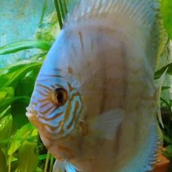 AQUA ZOO, Andrychów godziny otwarcia
