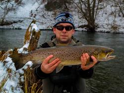 woblery TAPS kujawskie, Bydgoszcz godziny otwarcia