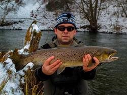 woblery TAPS kujawskie, Bydgoszcz godziny otwarcia