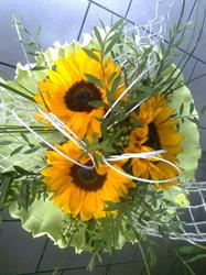Kwiaciarnia FLORA, Gdynia godziny otwarcia