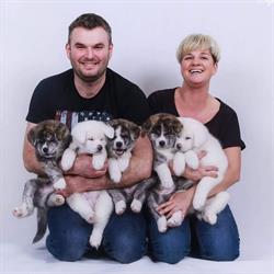 Akita kennel - Azuma No Inu, Smolno godziny otwarcia