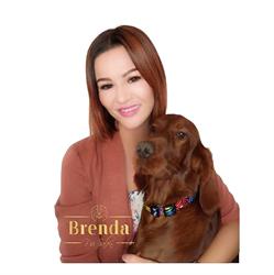 Psi Salon Brenda, Piotrków Trybunalski godziny otwarcia