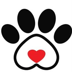 WET-DOG Gabinet Weterynaryjny i Salon Pielęgnacji Zwierząt, Ostróda godziny otwarcia