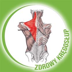 Zdrowy Kręgosłup Małgorzata Majewska, Oleśnica godziny otwarcia