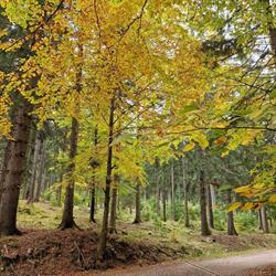 Domki Bliżej Nieba Jagniątków, Jelenia Góra godziny otwarcia