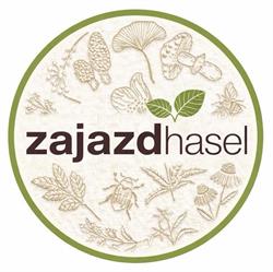 Zajazd HASEL, Dębica godziny otwarcia