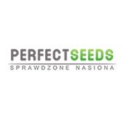 PERFECT SEEDS Sprawdzone nasiona, Jaworzno godziny otwarcia