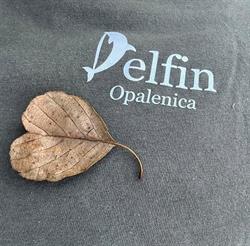 Delfin sklep zoologiczno-wędkarski, Opalenica godziny otwarcia