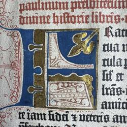 Muzeum Diecezjalne w Pelplinie, godziny otwarcia