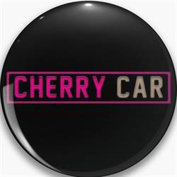 Cherry Car Artur Kuczewski, Styrzyniec godziny otwarcia
