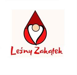 Leśny Zakątek - Rekreacja dla dzieci i młodzieży, wytchnienie dla rodzin., Kurabka godziny otwarcia