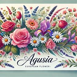 Kwiaciarnia AGUSIA, Mirsk godziny otwarcia