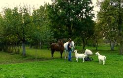 Agroturystyka Kośmidry, godziny otwarcia