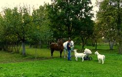 Agroturystyka Kośmidry, godziny otwarcia