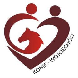 Stajnia Wojciechów Konie - Wojciechów, Wojciechów-Kolonia Piąta godziny otwarcia