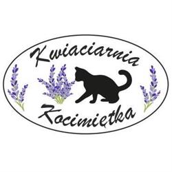 Kwiaciarnia Kocimiętka Wronki, godziny otwarcia