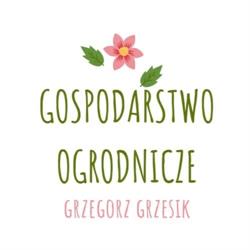 Produkcja i sprzedaż kwiatów. Gospodarstwo Ogrodnicze Grzegorz Grzesik., Cegłów godziny otwarcia
