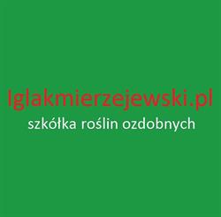 IglakMierzejewski szkółka drzew krzewów ozdobnych, Białogórne godziny otwarcia