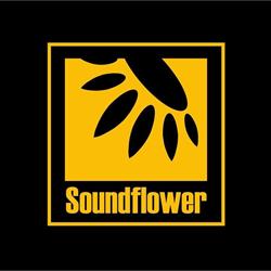 Studio Soundflower, Warszawa godziny otwarcia