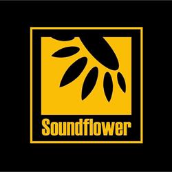 Studio Soundflower, Warszawa godziny otwarcia
