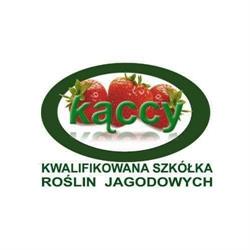 Owoce i sadzonki truskawek. Kwalifikowana Szkółka Kąccy. Maliny i świdośliwa., Krzyworzeka godziny otwarcia