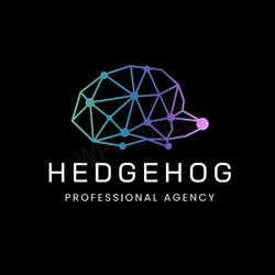 HEDGEHOG "Professional Agency", Sochaczew godziny otwarcia