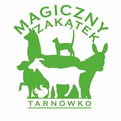 Magiczny Zakątek Tarnówko, godziny otwarcia