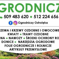 Sklep Ogrodniczy, Ostrołęka godziny otwarcia