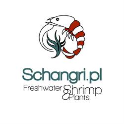 Schangri.pl - Sklep Akwarystyczny - Podwodny Świat, Kraków godziny otwarcia