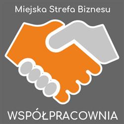 Miejska Strefa Biznesu, Głogów godziny otwarcia