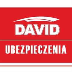 Ubezpieczenia "David" - Multiagencja Ubezpieczeniowa, Stoczek Łukowski godziny otwarcia