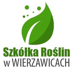 Szkołka Roślin w Wierzawicach, Leżajsk godziny otwarcia