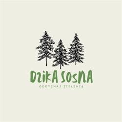 Dzika Sosna, Łukta godziny otwarcia