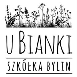u Bianki. Szkółka bylin traw i paproci., Serock godziny otwarcia