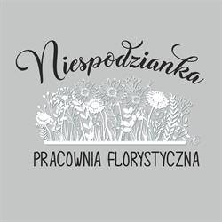 Pracownia Florystyczna ?Niespodzianka? Marlena Abrantowicz, Milicz godziny otwarcia