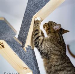 ScratchMeCat, Zielona Góra godziny otwarcia