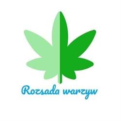 Rozsada warzyw u Marszałków, Tuchów godziny otwarcia