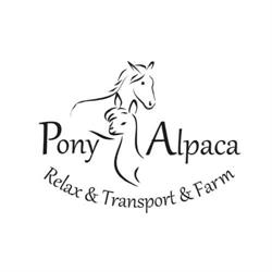 Pony Alpaca, Zabrze godziny otwarcia