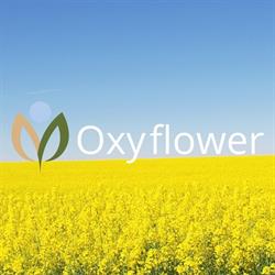 OxyFlower - Łagodna tlenoterapia hiperbaryczna, Toruń, godziny otwarcia