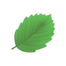 Ośrodek diagnostyczno-terapeutyczny Zielona Olcha, Pawłowice godziny otwarcia