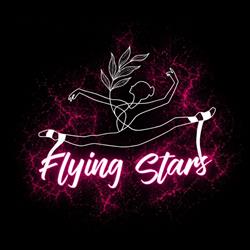 Szkoła Akrobatyki Powietrznej Flying Stars Wrocław, godziny otwarcia