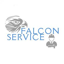 Falcon Service Sp. z oo, Katowice godziny otwarcia
