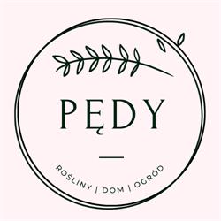 Kwiaciarnia Pędy, Łódź godziny otwarcia