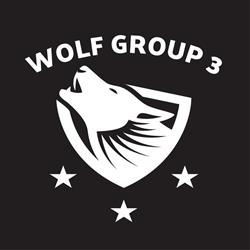 Wolf Group 3 Międzynarodowa Agencja Detektywistyczna, Warszawa godziny otwarcia