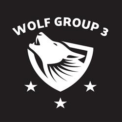 Wolf Group 3 Międzynarodowa Agencja Detektywistyczna, Warszawa godziny otwarcia