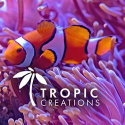Tropic creations, Stary Sącz godziny otwarcia