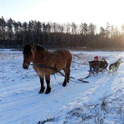 Gospodarstwo Agroturystyczne Dereniowydom.pl, Golczewo godziny otwarcia