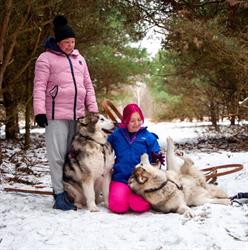 Kriplyana, Budy-Grzybek godziny otwarcia