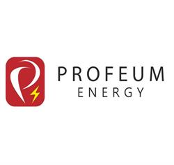 Profeum Energy Sp. z o.o., Rzeszów godziny otwarcia